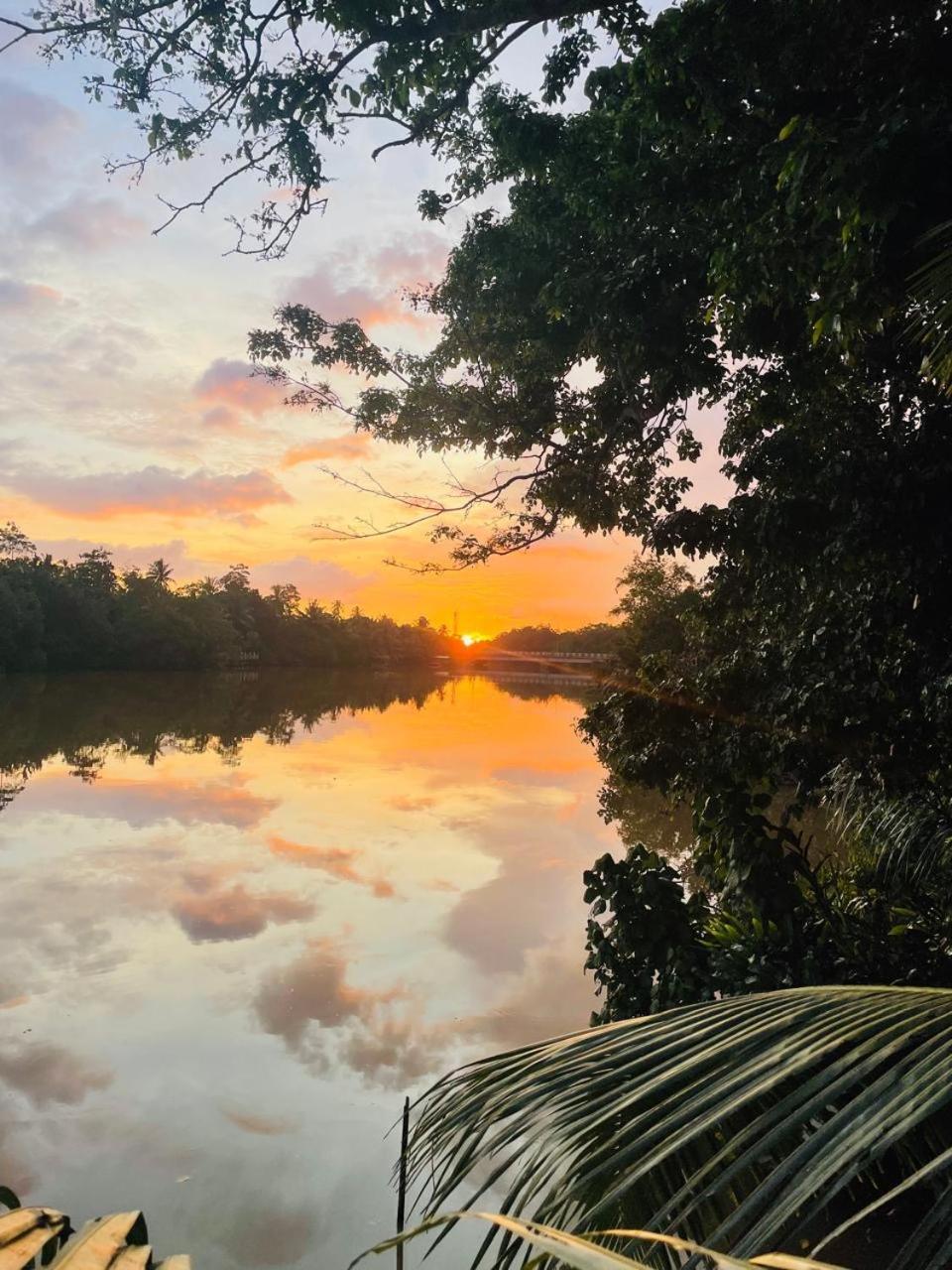 Sapiens Home - Weligama Bay المظهر الخارجي الصورة
