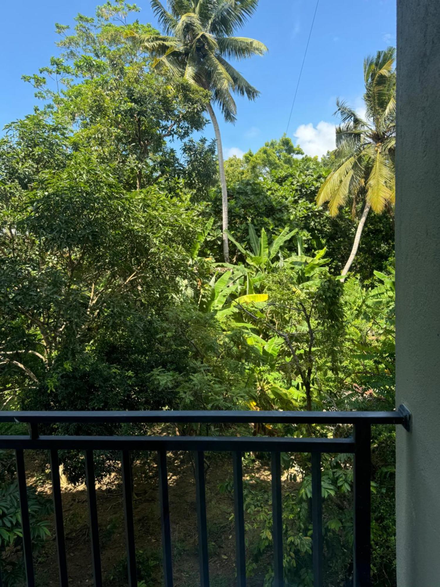 Sapiens Home - Weligama Bay المظهر الخارجي الصورة